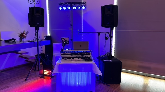dj-fuer-hochzeit Hochzeit DJ